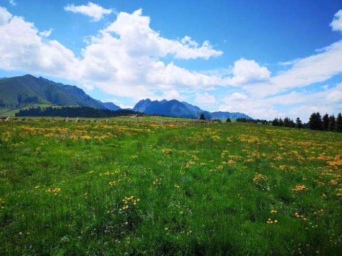 乌鲁木齐周边除了天山天池,还有个地方值得一去,安静游客少