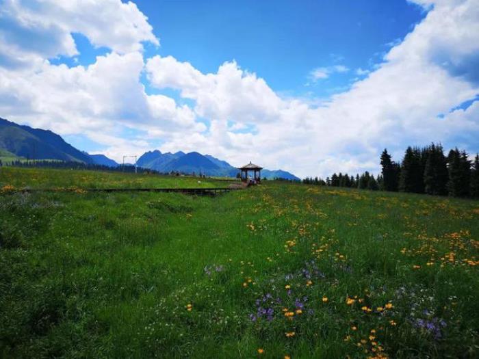 乌鲁木齐周边除了天山天池,还有个地方值得一去,安静游客少