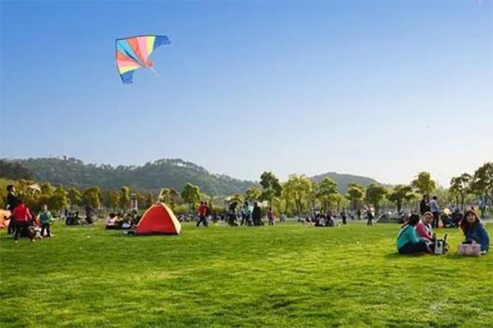 武汉哪里放风筝好 武汉哪里放风筝好