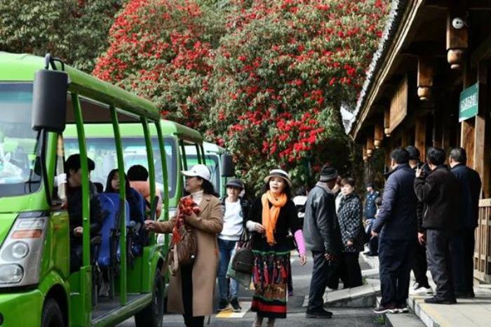 百里杜鹃景区观光车路线是怎么走的 百里杜鹃景区观光车路线是怎么走的