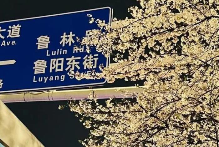 武汉最美樱花公交站在哪里 武汉最美樱花公交站在哪里