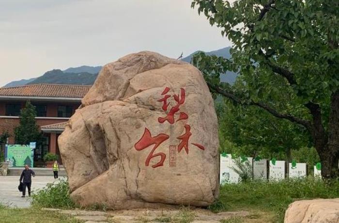 天津踏青去什么地点最合适 天津踏青去什么地点最合适