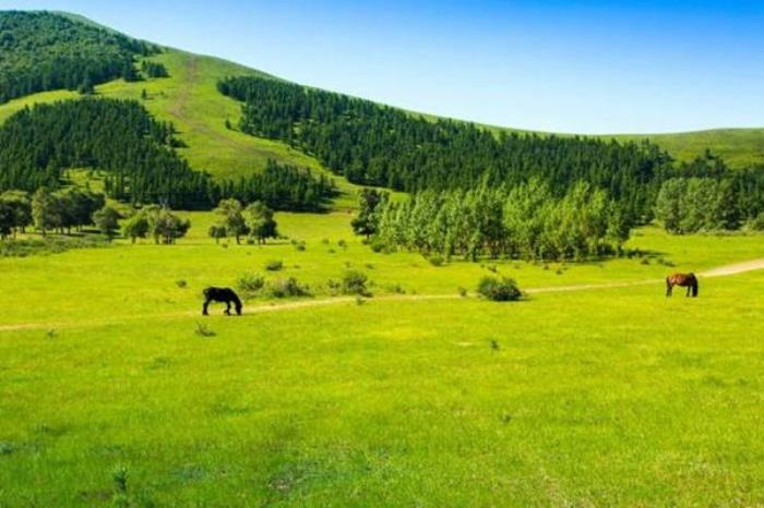 北京去坝上草原怎么去 北京去坝上草原怎么去