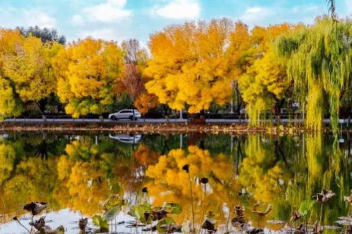 银川赏秋旅游攻略路线怎么走 银川赏秋旅游攻略路线怎么走