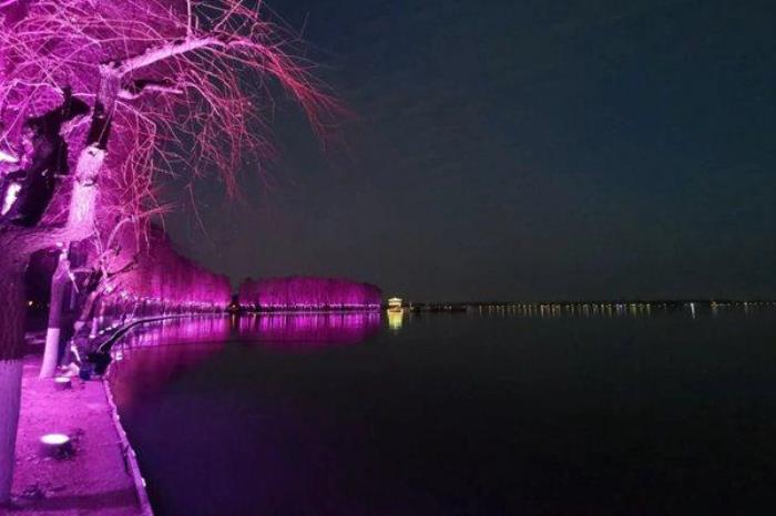 东湖绿道24小时开放吗 东湖绿道24小时开放吗