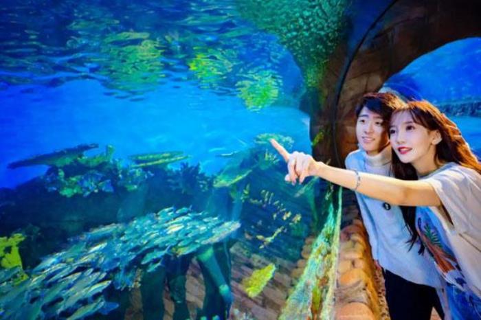 西安华夏文旅海洋公园门票多少钱 附最新优惠政策一览 西安华夏文旅海洋公园门票多少钱 附最新优惠政策一览