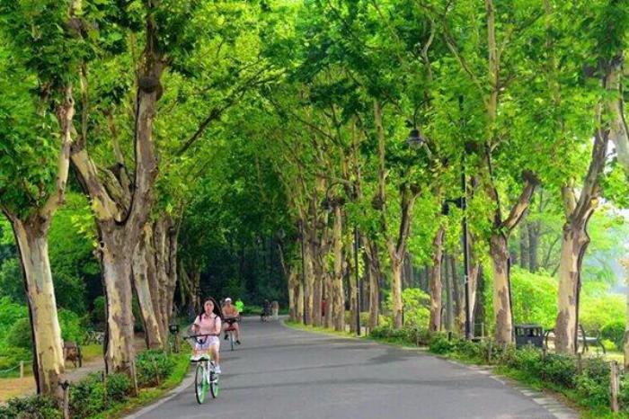 东湖绿道哪里有双人自行车 东湖绿道哪里有双人自行车