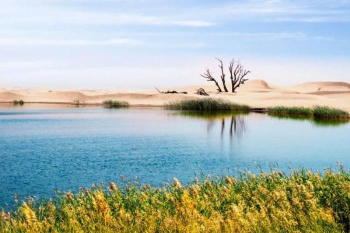 沙坡头旅游景区旅游攻略 沙坡头旅游景区旅游攻略
