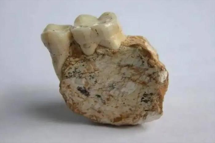 重庆中国三峡博物馆镇馆之宝是什么 重庆中国三峡博物馆镇馆之宝是什么