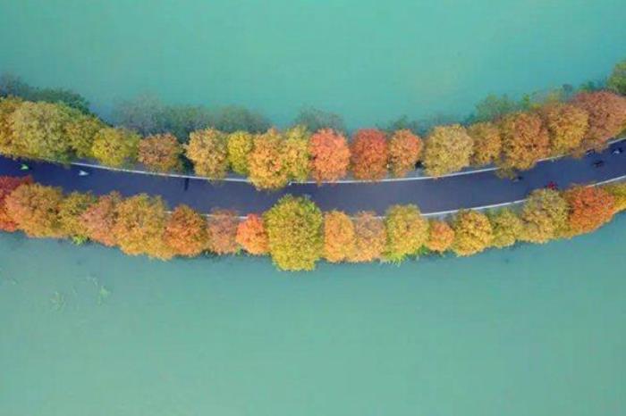 东湖绿道二期入口在哪?二期在哪里? 东湖绿道二期入口在哪?二期在哪里?