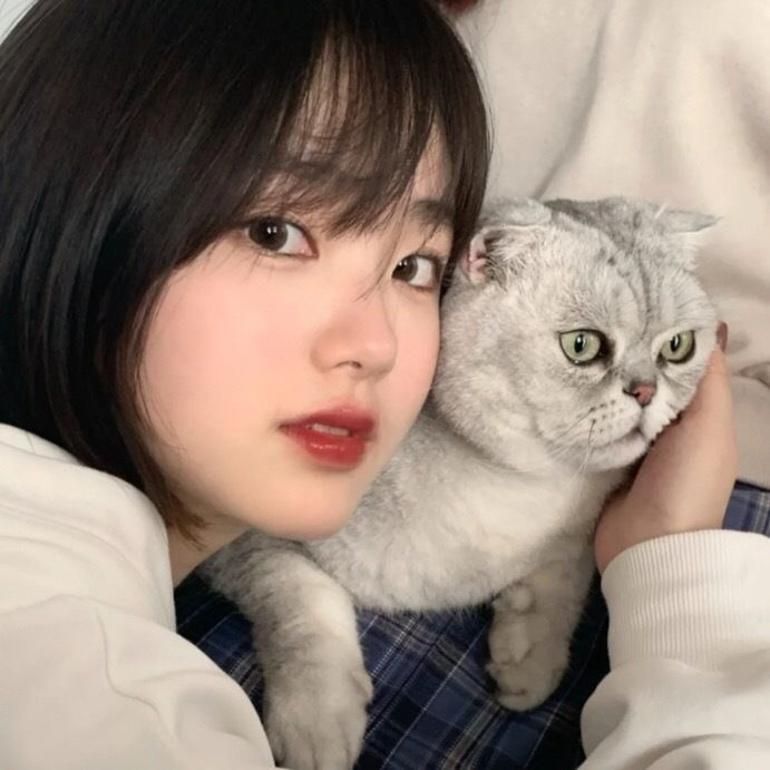 郑州陪游女孩可爱车模黄艺清 郑州陪游女孩可爱车模黄艺清