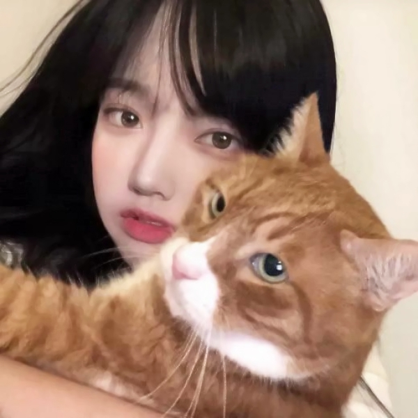 石家庄女伴游空乘服务员濮夏青 石家庄女伴游空乘服务员濮夏青