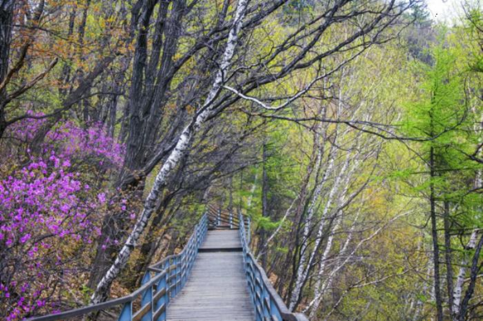 密云春季有哪些踏青赏花的地方 密云春季有哪些踏青赏花的地方
