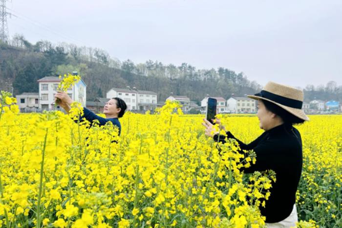 夷陵春季有哪些精品乡村旅游线路推荐 夷陵春季有哪些精品乡村旅游线路推荐