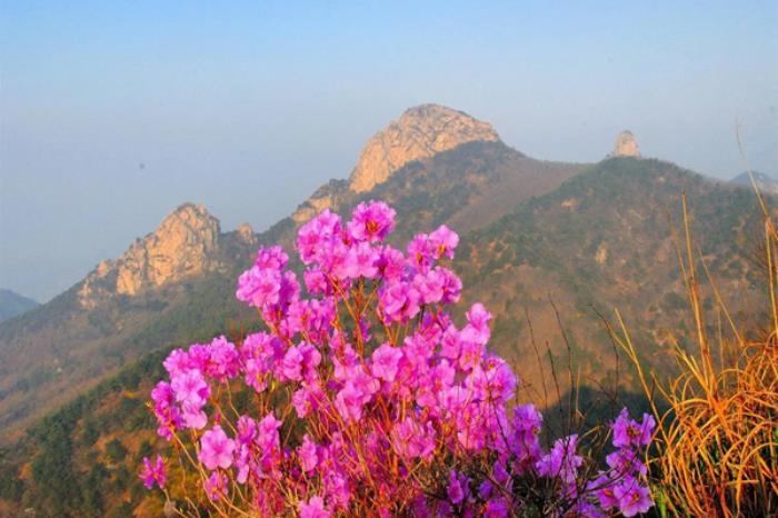 临沂有哪些适合赏春登高的景点推荐 临沂有哪些适合赏春登高的景点推荐