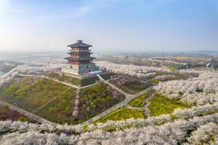 古柏渡丰乐樱花园几月份开花 古柏渡丰乐樱花园几月份开花