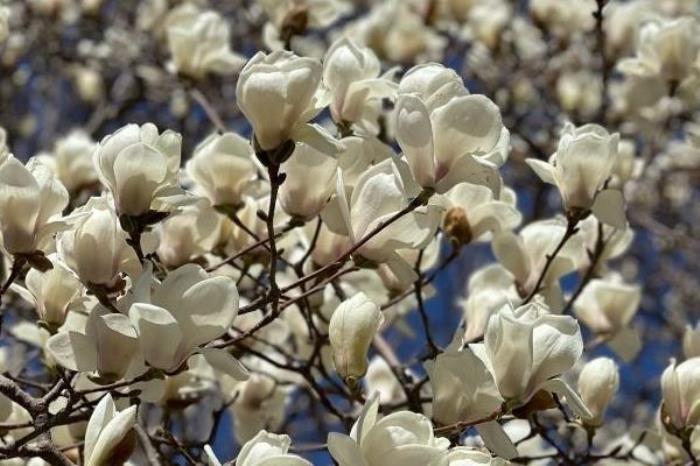 天津郊游去哪里好玩 天津郊游去哪里好玩