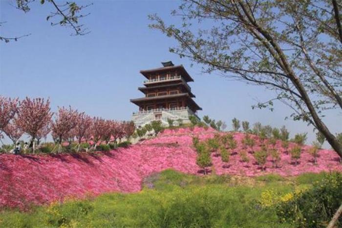 古柏渡丰乐樱花园几月份开花 古柏渡丰乐樱花园几月份开花