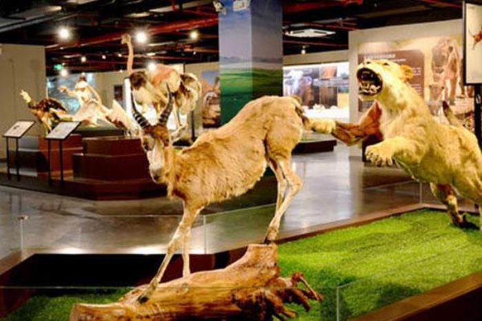 大连生命奥秘博物馆 大连生命奥秘博物馆