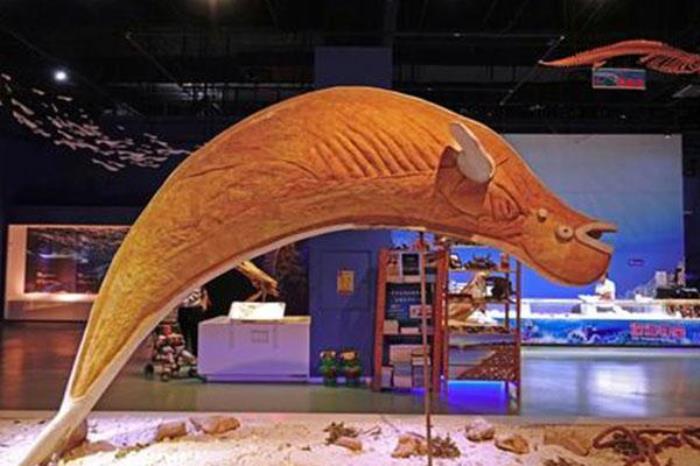 大连生命奥秘博物馆 大连生命奥秘博物馆