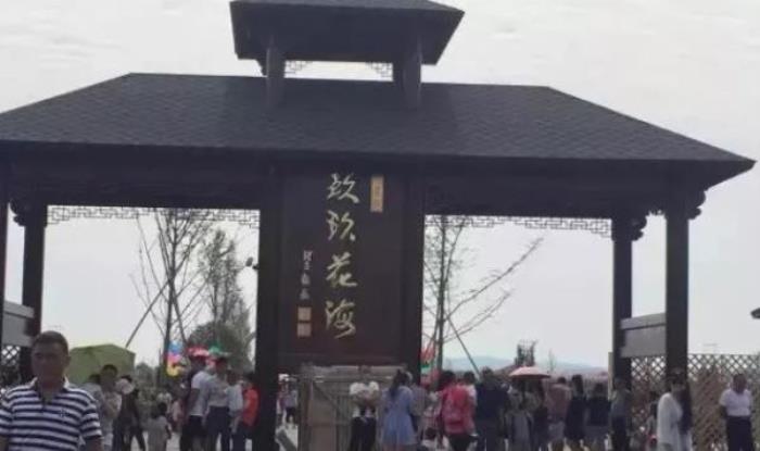 安徽玖玖花海观光园 安徽玖玖花海观光园