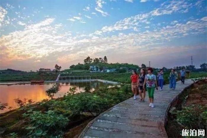 世界无花果博览园 世界无花果博览园