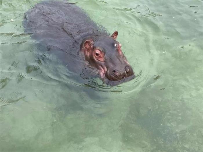 马鞍山大青山野生动物园 马鞍山大青山野生动物园