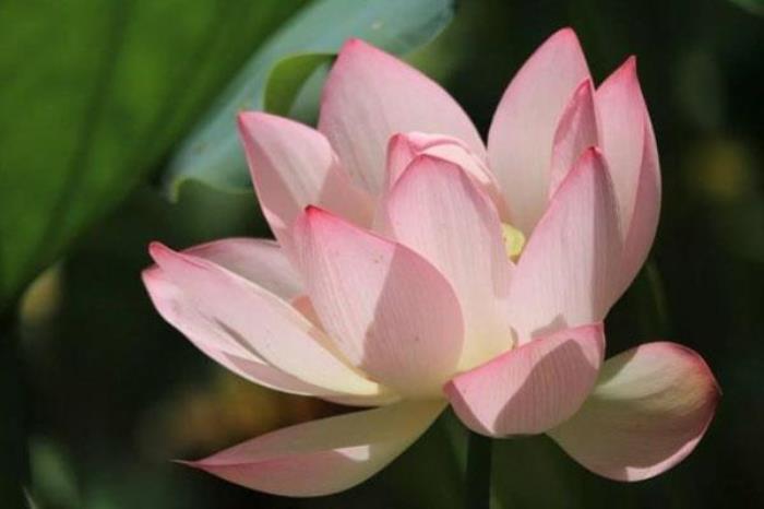 城门谷公园 城门谷公园