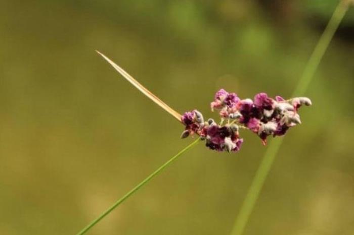 城门谷公园 城门谷公园