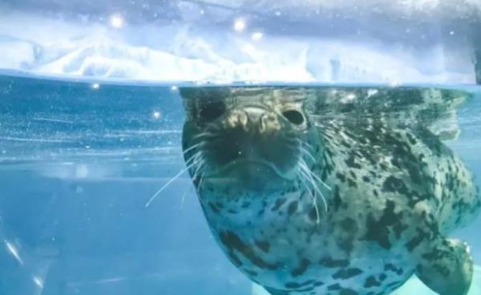 山西海立方海洋公园 山西海立方海洋公园