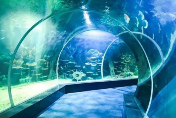 山西海立方海洋公园 山西海立方海洋公园