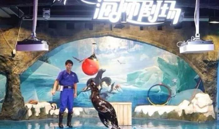 山西海立方海洋公园 山西海立方海洋公园