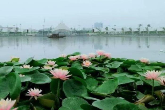 银川龙池 银川龙池