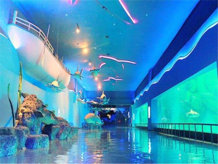 德州-泉城欧乐堡海洋极地世界 德州-泉城欧乐堡海洋极地世界