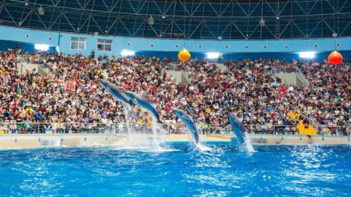 德州-泉城欧乐堡海洋极地世界 德州-泉城欧乐堡海洋极地世界