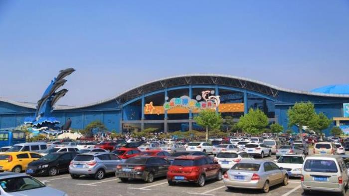 德州-泉城欧乐堡海洋极地世界 德州-泉城欧乐堡海洋极地世界