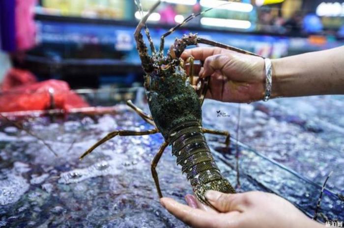 三亚去哪吃海鲜不被宰 三亚吃海鲜攻略 三亚去哪吃海鲜不被宰 三亚吃海鲜攻略