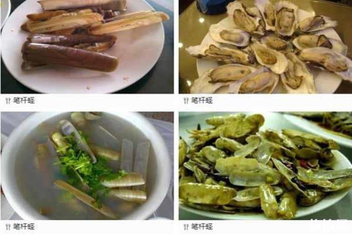 葫芦岛海鲜便宜吗 葫芦岛海鲜美食推荐 葫芦岛海鲜便宜吗 葫芦岛海鲜美食推荐