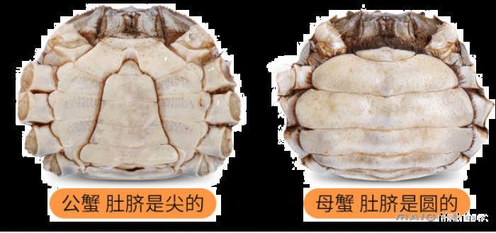 大闸蟹吃公的还是母的 大闸蟹公母都有蟹黄吗 大闸蟹吃公的还是母的 大闸蟹公母都有蟹黄吗
