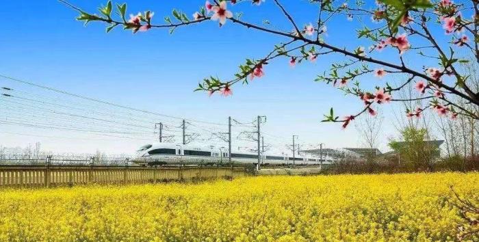 高铁游(高铁游戏下载手机版) 高铁游(高铁游戏下载手机版)