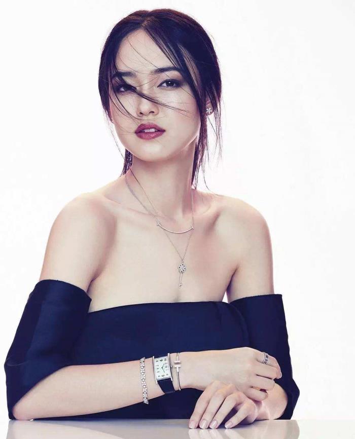 顶级模特(顶级模特世界旅游小姐中国总冠军) 顶级模特(顶级模特世界旅游小姐中国总冠军)